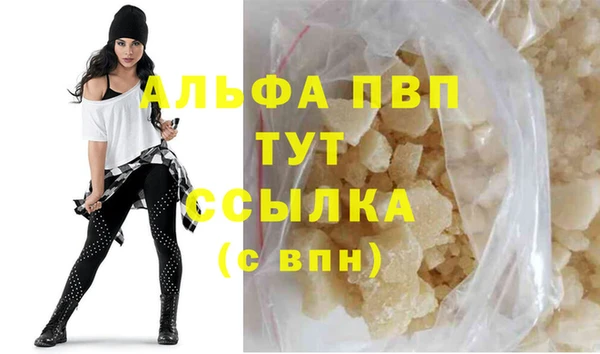 стаф Богданович