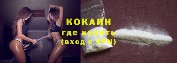 стаф Богданович