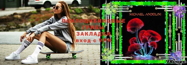 трава Богородицк