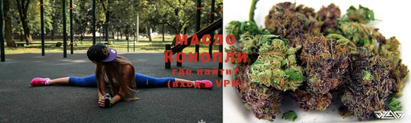 стаф Богданович