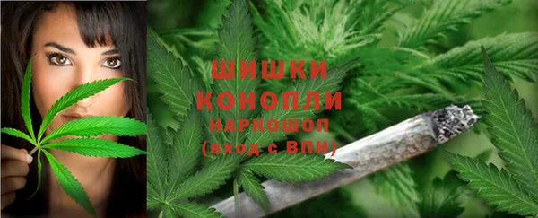 стаф Богданович