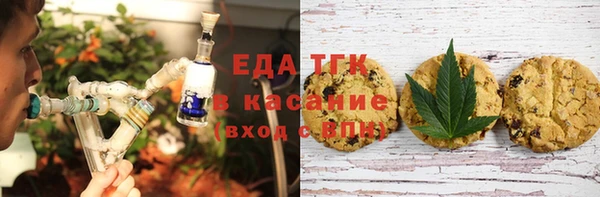 стаф Богданович