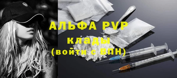 стаф Богданович