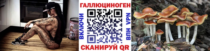 Псилоцибиновые грибы ЛСД  даркнет сайт  Ейск 